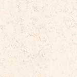   BIANCONE 50 - 50x50